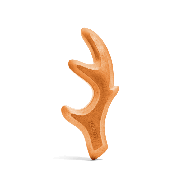 Pumpkin Spice HonestChew