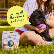 Calming Wellness Pops