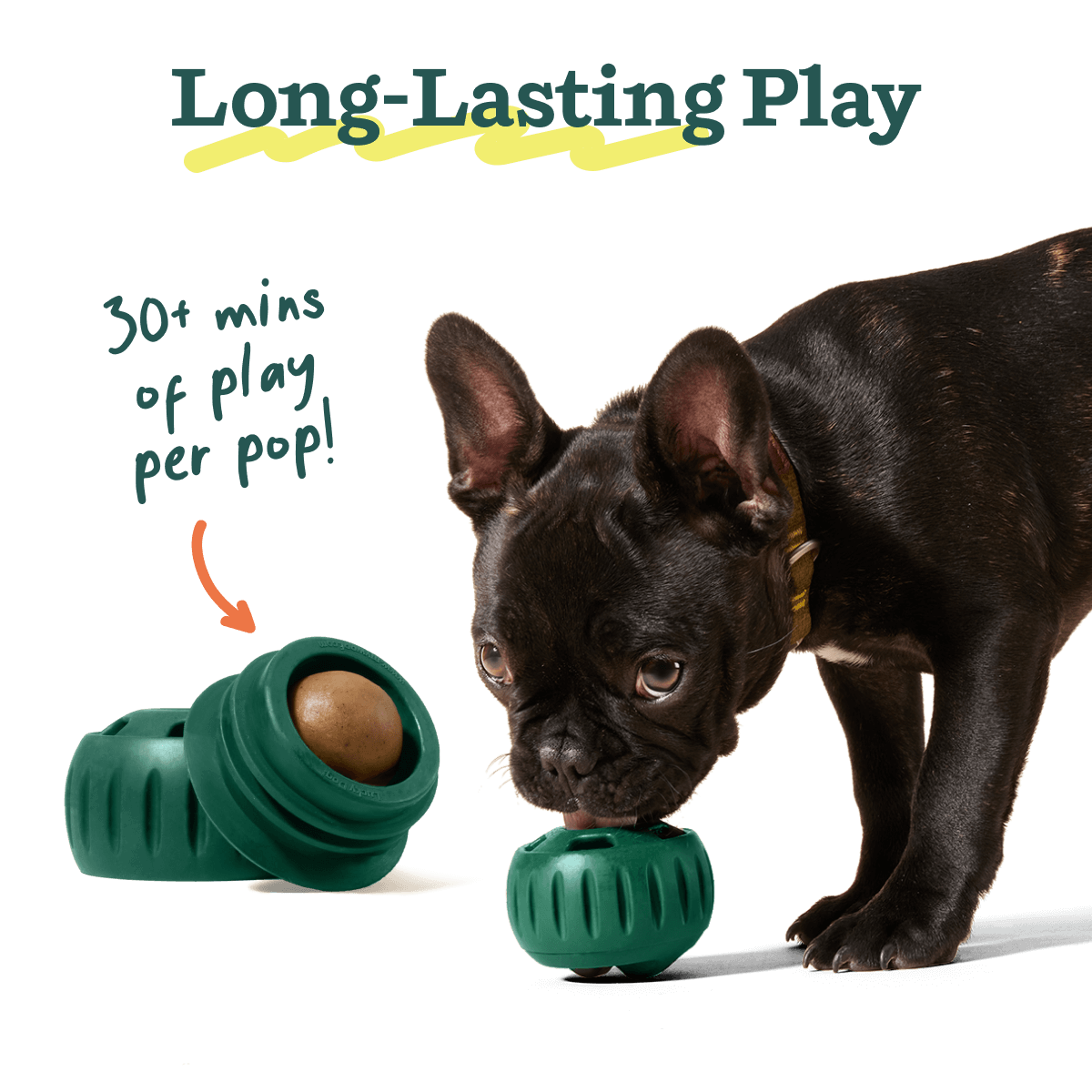 Woof Pupsicle Pops Dog Treats Woof Pupsicle Pops Dog Treats