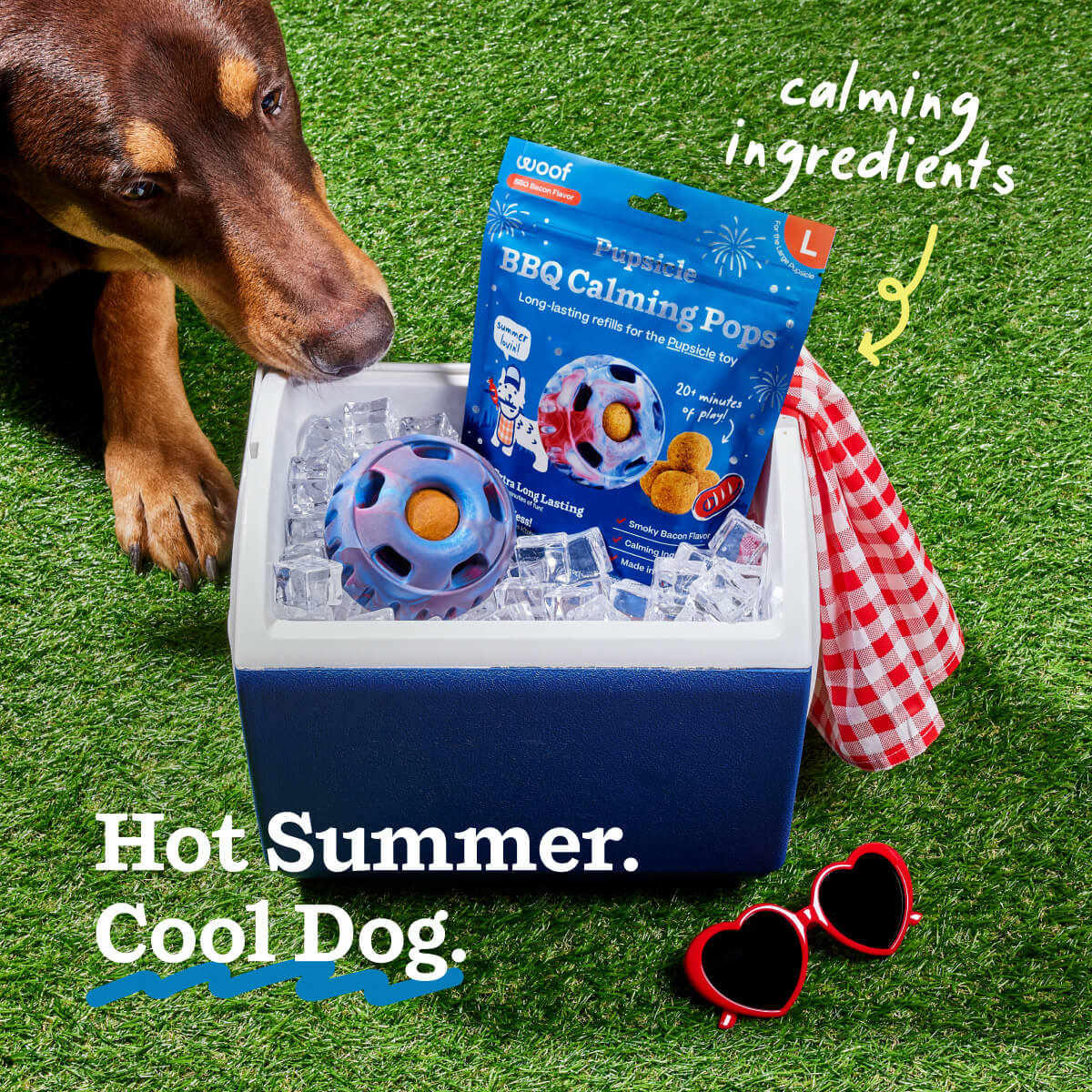 BBQ Calming Pops