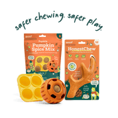 Pumpkin Spice Play Pack