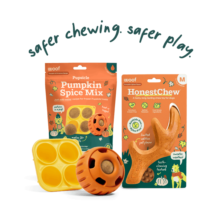 Pumpkin Spice Play Pack