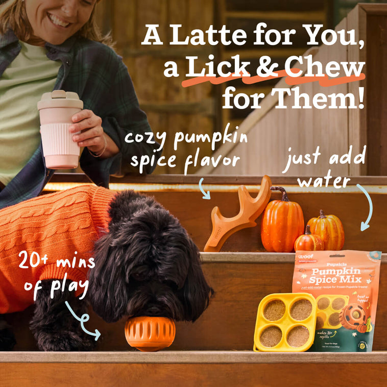 Pumpkin Spice Play Pack