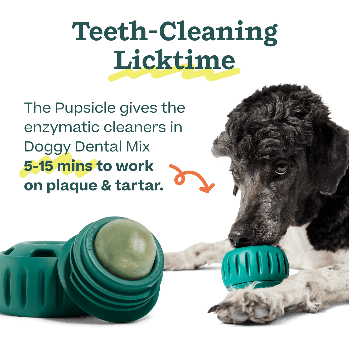 Doggy Dental Mix