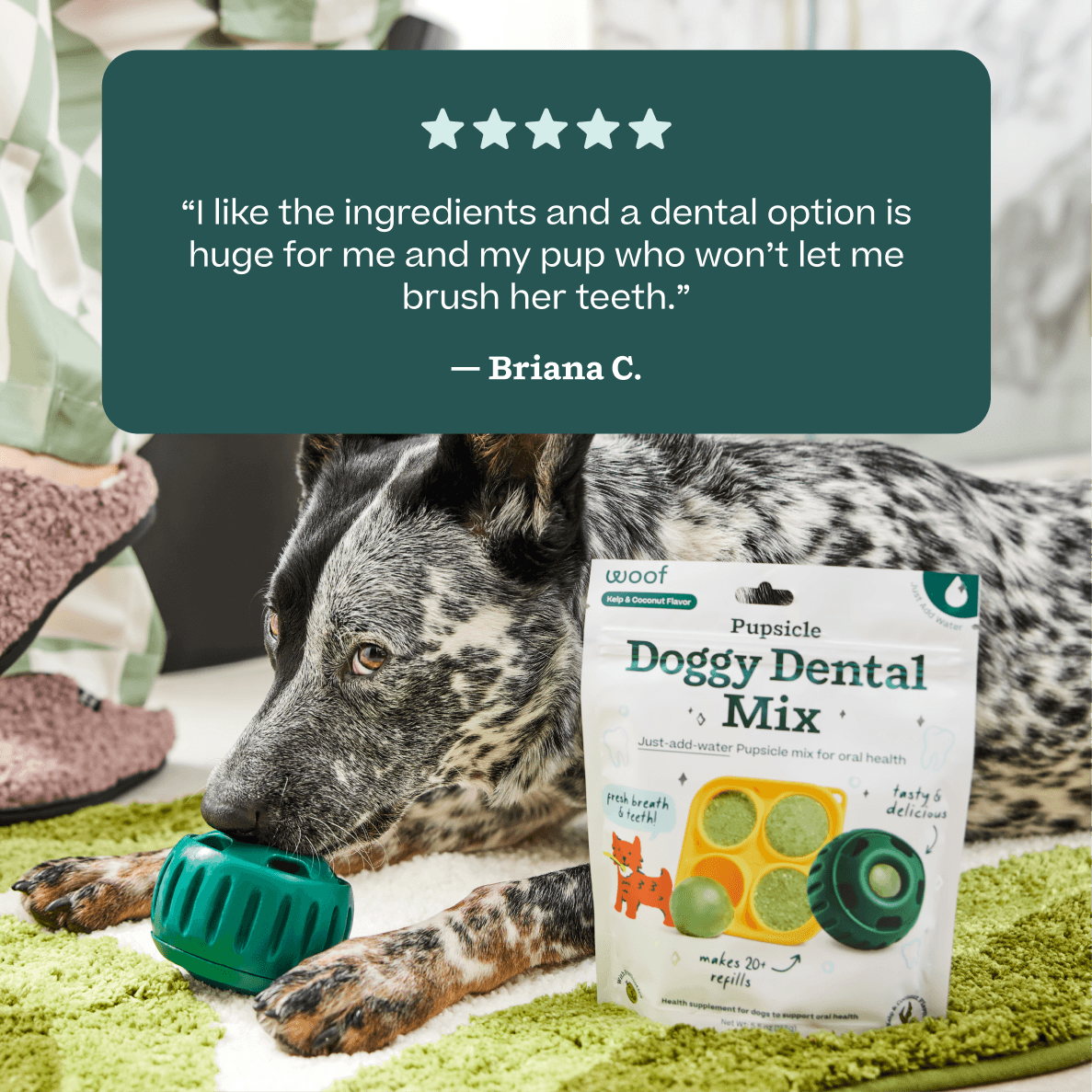 Doggy Dental Mix