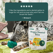 Doggy Dental Mix