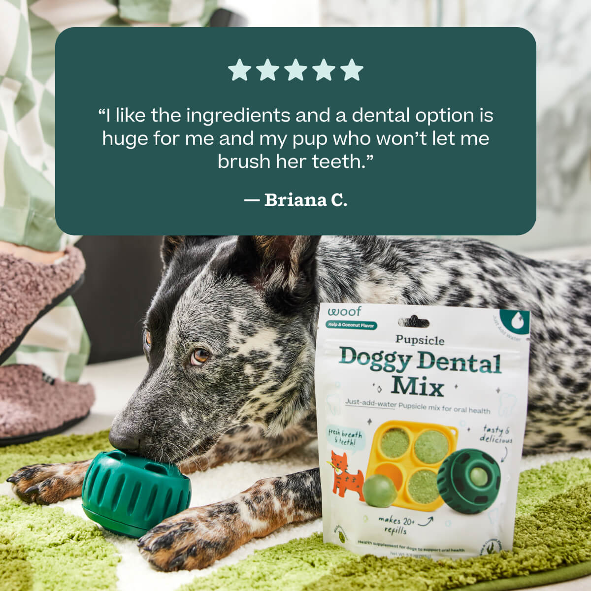 Dog Treats Homemade Dog Toothpaste Doggy Dental Mix – Woof