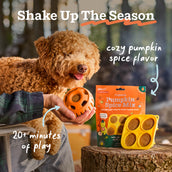 Pumpkin Spice Pupsicle Mix