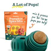 Pumpkin Spice Pupsicle Mix