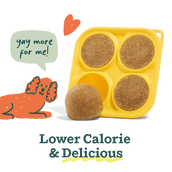 Pumpkin Spice Pupsicle Mix