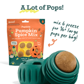 Pumpkin Spice Pupsicle Mix