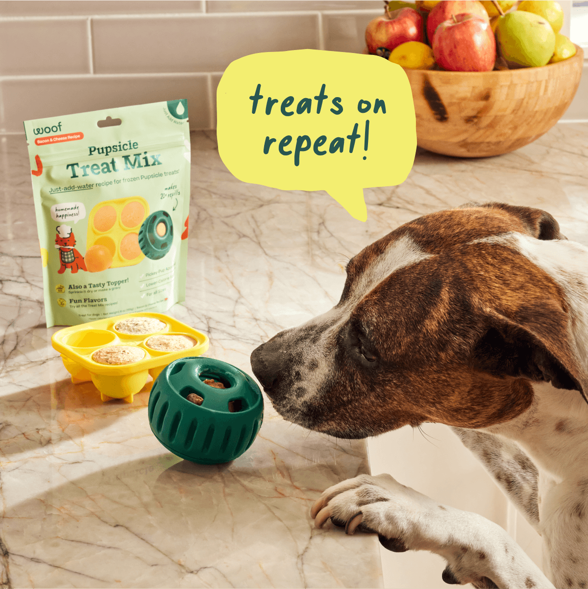 Pumpkin Spice Pupsicle Mix
