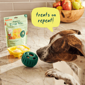 Pumpkin Spice Pupsicle Mix