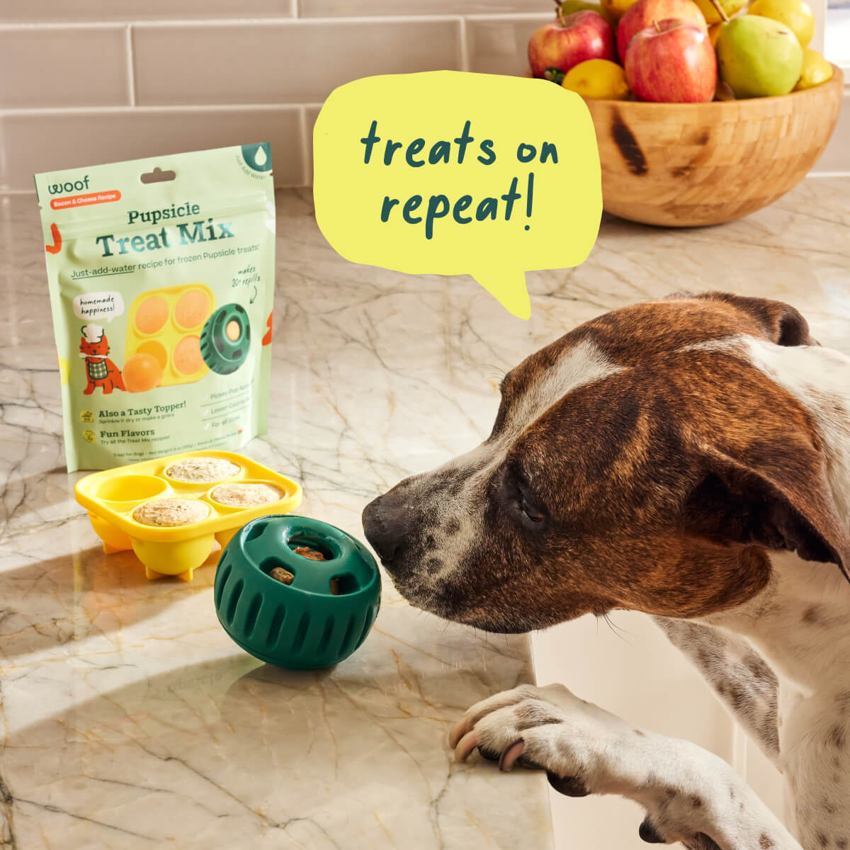 Pumpkin Spice Pupsicle Mix