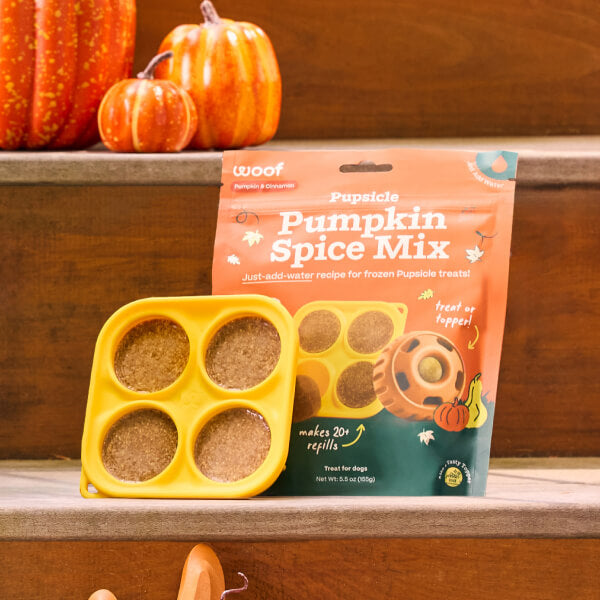 Pumpkin Spice Pupsicle Mix