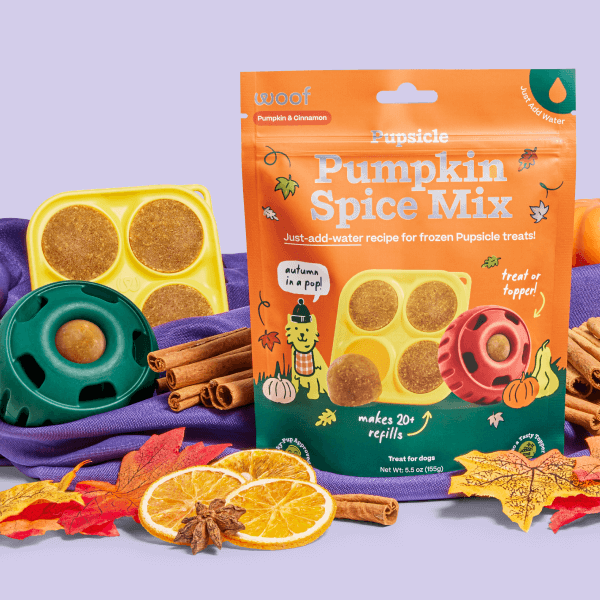 Pumpkin Spice Pupsicle Mix