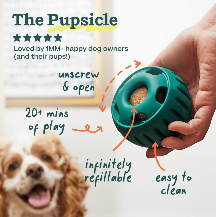 Pupsicle Play Pack