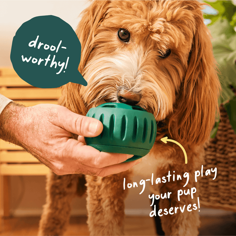 Pupsicle Play Pack