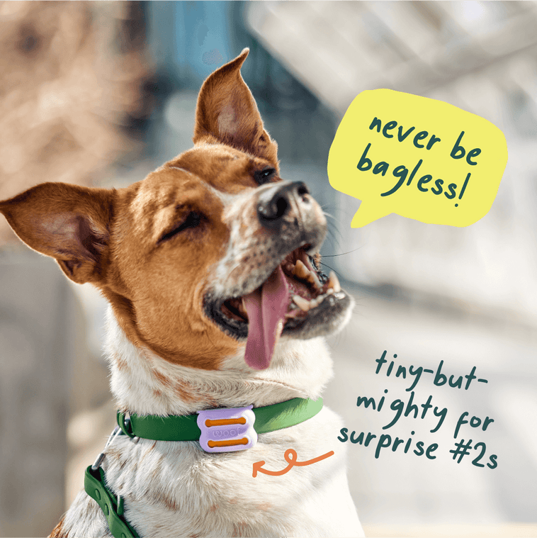 Pupsicle Play Pack