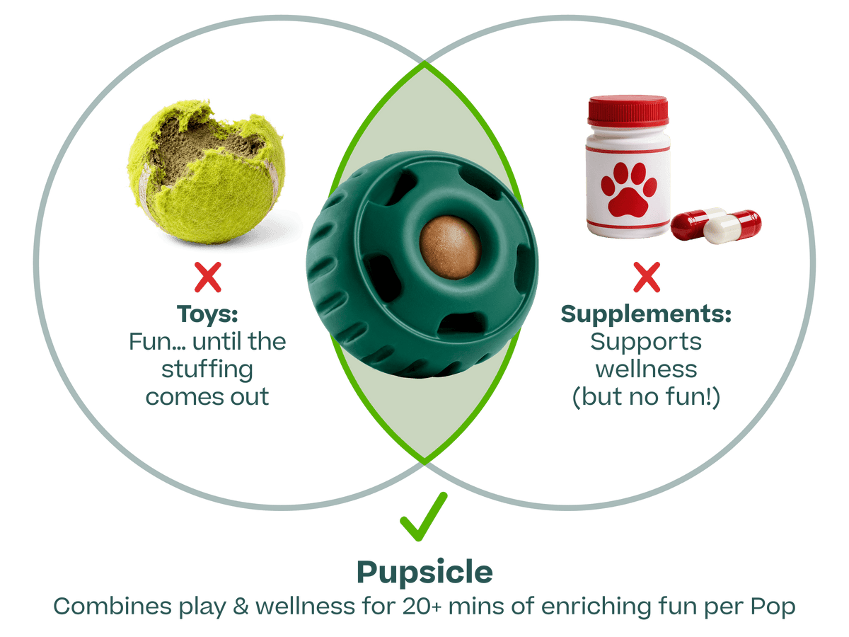 Pupsicle Evergreen Test V1 – Woof