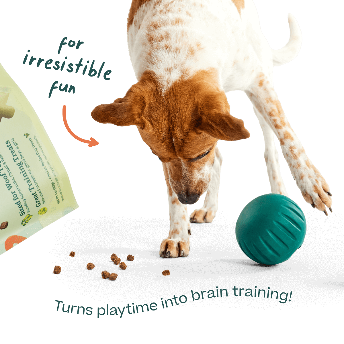 Woof Puzzle Treats