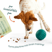 Woof Puzzle Treats