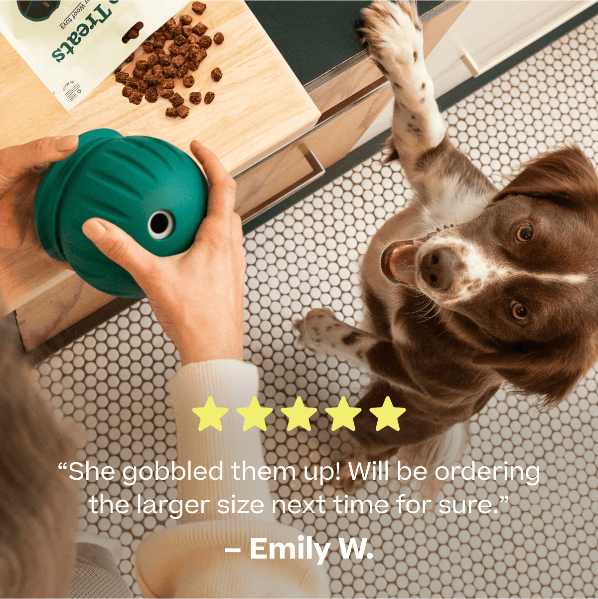 Woof Puzzle Treats