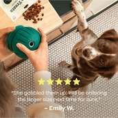 Woof Puzzle Treats