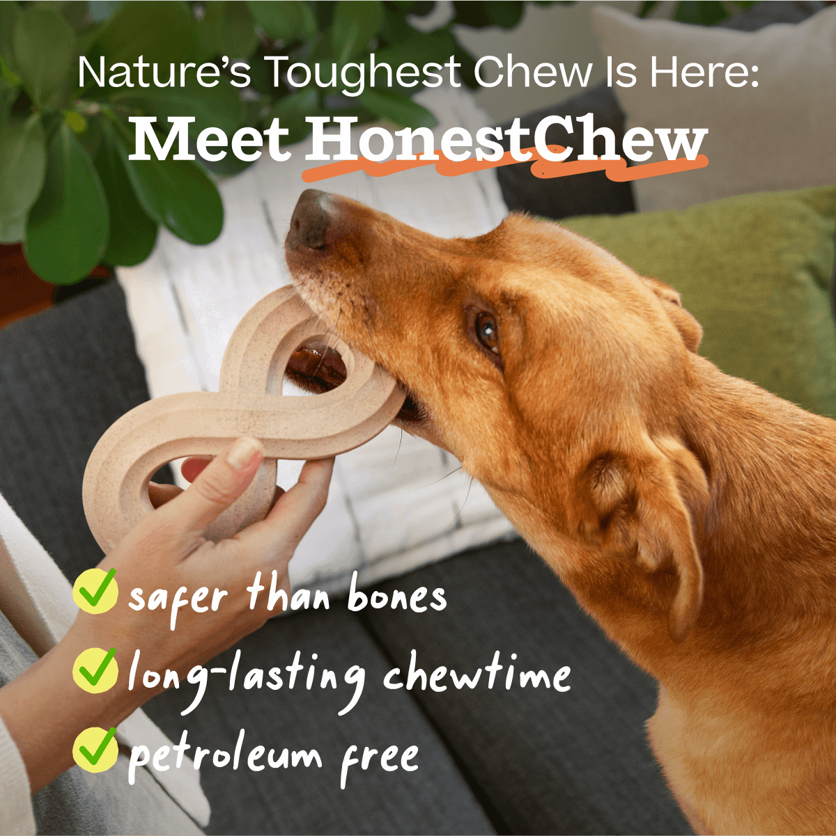 Season's Chewing Pack