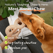 Season's Chewing Pack