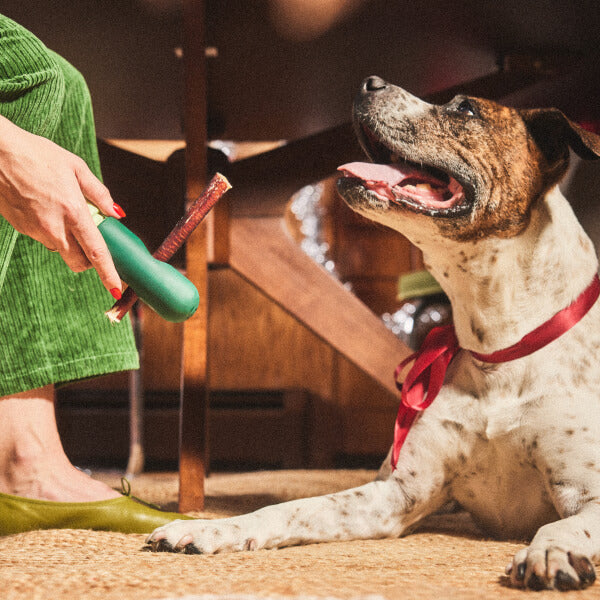 Season's Chewing Pack