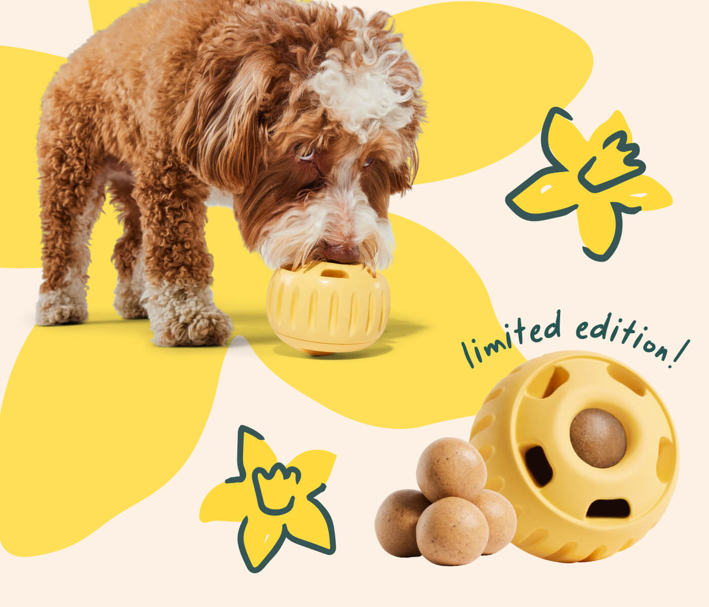 dog licking a limited edition yellow daffodil pupsicle with pops and illustrations on the side
