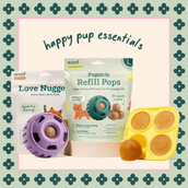 The Pupsicle Starter Pack