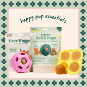 The Pupsicle Starter Pack