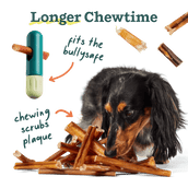 Stocking Stuffer Pack