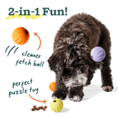 Stocking Stuffer Pack