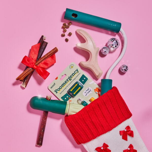 Stocking Stuffer Pack