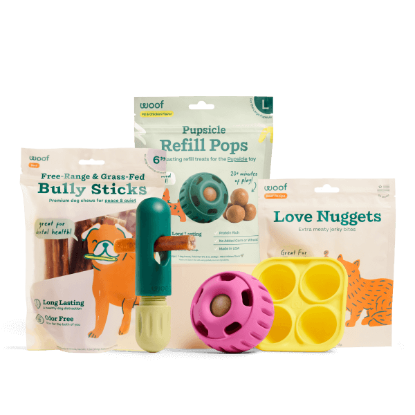 The Ultimate Distraction Pack