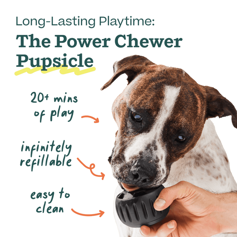 Power Chewer Bundle