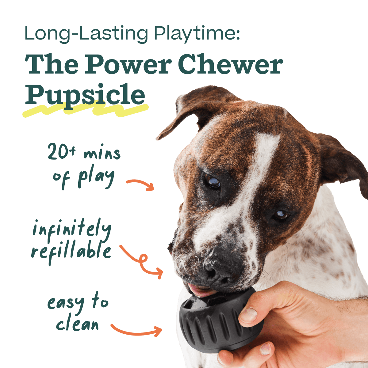 Ultimate Power Chewer Pack
