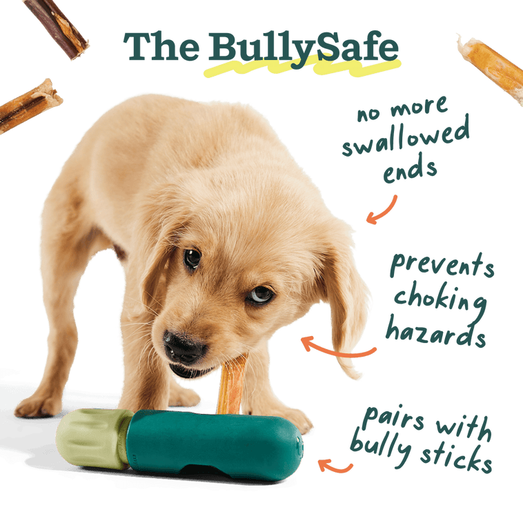 Power Chewer Bundle