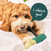 Power Chewer Bundle
