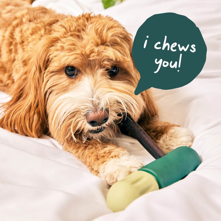 Power Chewer Bundle