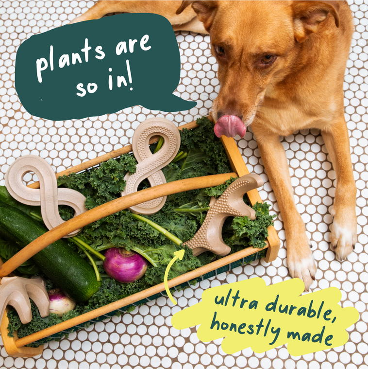 Ultimate Power Chewer Pack