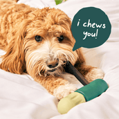 Ultimate Power Chewer Pack