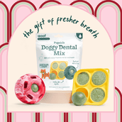 Under the Mistletoe Pack