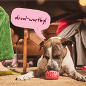 Under the Mistletoe Pack