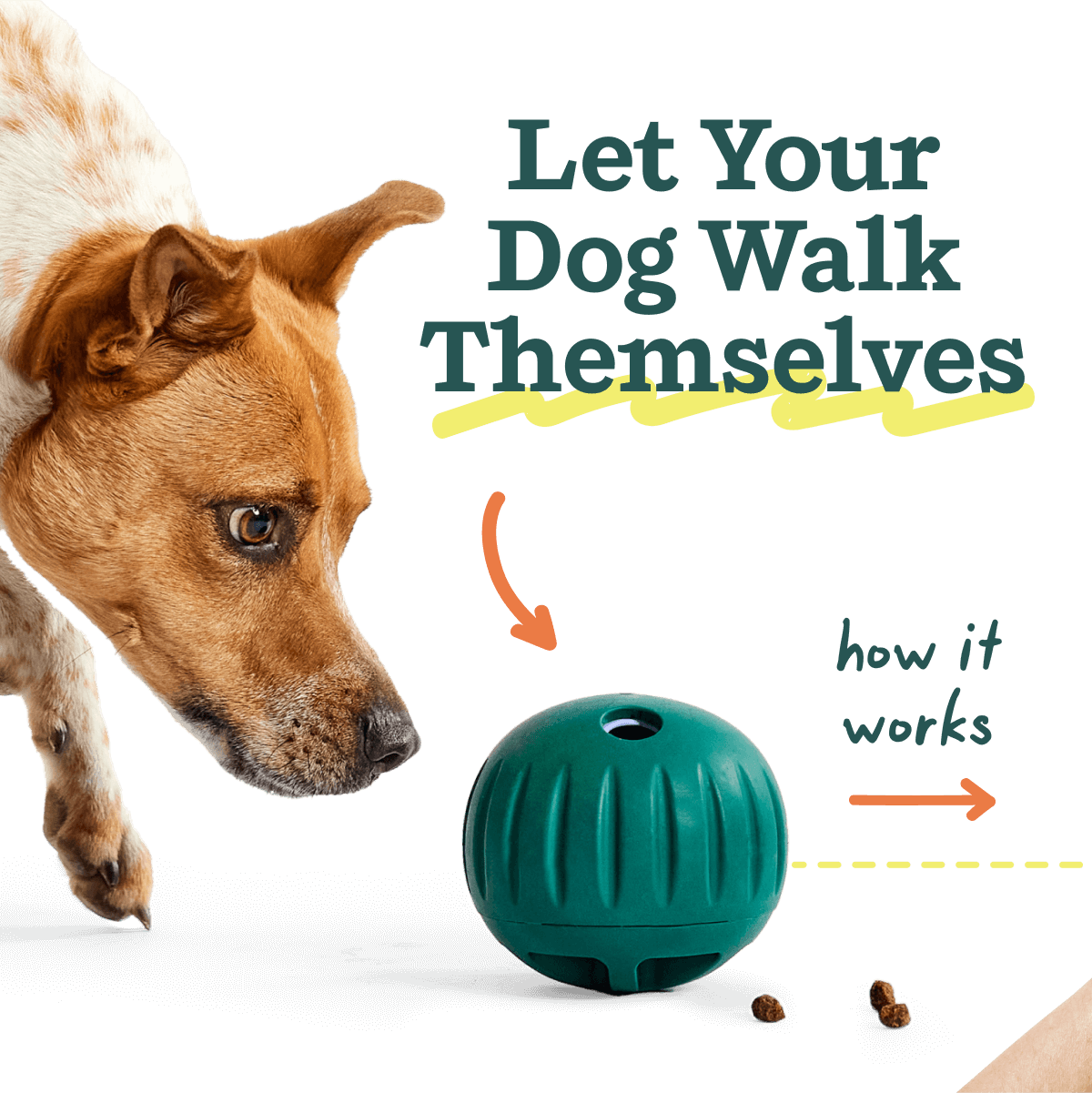 Walkabout Basics Pack