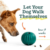 Walkabout Basics Pack