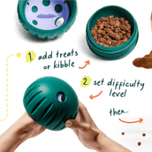 Walkabout Basics Pack